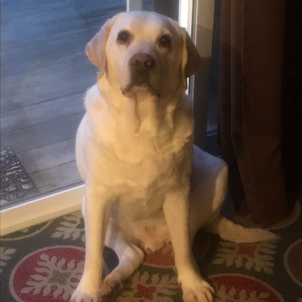 Meet your Posher, Jonathan